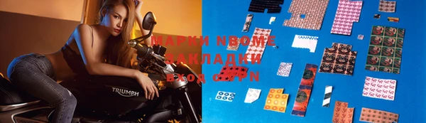индика Дмитровск