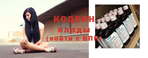 индика Дмитровск