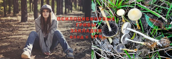 индика Дмитровск