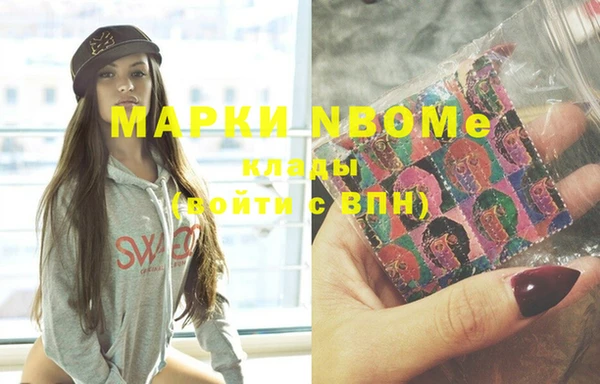 индика Дмитровск