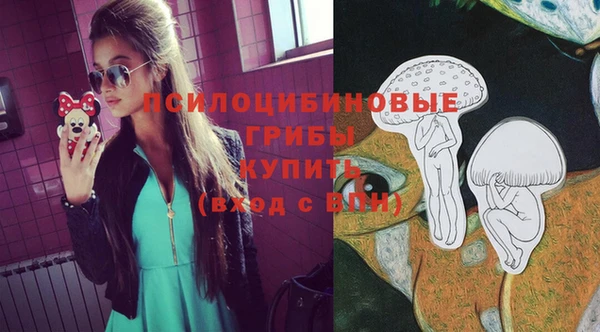 каннабис Дмитров