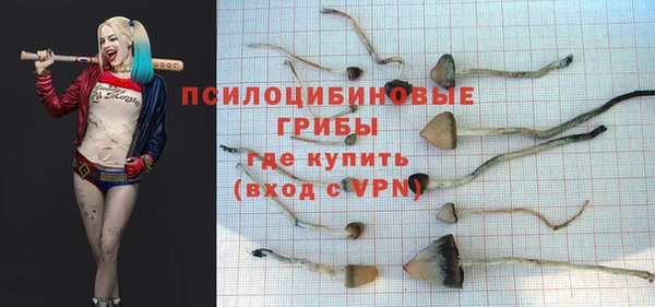 герыч Шарыпово