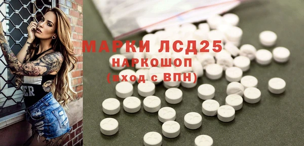 PSILOCYBIN Дмитриев