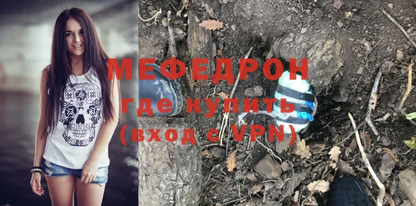индика Дмитровск