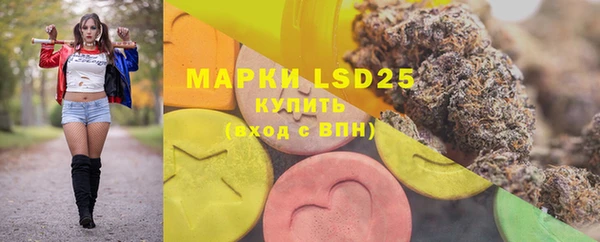 PSILOCYBIN Дмитриев