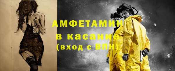 индика Дмитровск