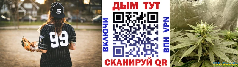 Бошки марихуана Amnesia  Данилов 